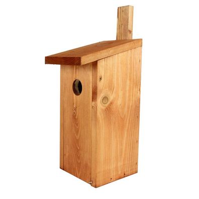 Backs Nistkästen für verschiedene Vogelarten - Star