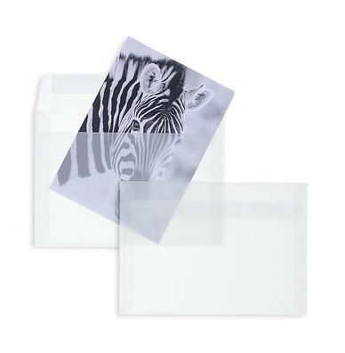 250 Transparente Briefumschläge 229x324 mm (DIN C4) mit Haftklebung