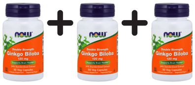 3 x Ginkgo Biloba Double Strength, 120mg - 50 vcaps