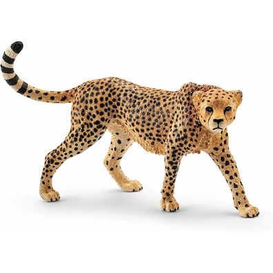 Sperling - weiblicher Gepard