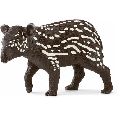 Zviratko - junger Tapir