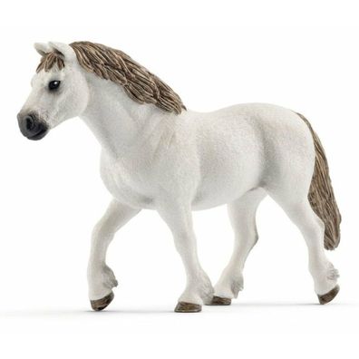Tier - Welsh-Stute, Pony