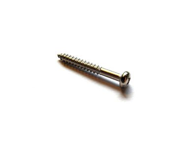 10 x ML-Factory® Befestigungsschraube für Single Coils 35 x 2,5 mm chrom