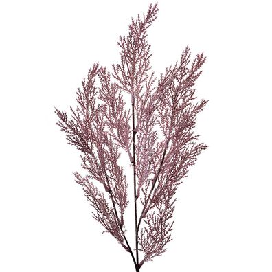 Clayre & Eef Kunstblume 75 cm Violett Kunststoff (Gr. 10x4x75 cm)