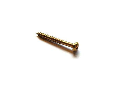 10 x ML-Factory® Befestigungsschraube für Single Coils 35 x 2,5 mm gold