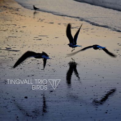 Tingvall Trio: Birds