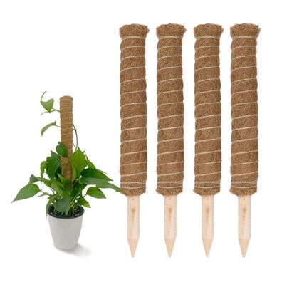 Kokos Rankstab 40 cm natur - 4 Stück - Holz Rank Kletter Hilfe Zimmer Pflanzen