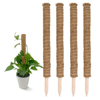 Kokos Rankstab 60 cm natur - 4 Stück - Holz Rank Kletter Hilfe Zimmer Pflanzen