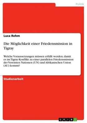 Die M?glichkeit einer Friedensmission in Tigray, Luca Rehm
