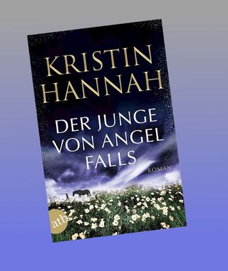 Der Junge von Angel Falls, Kristin Hannah