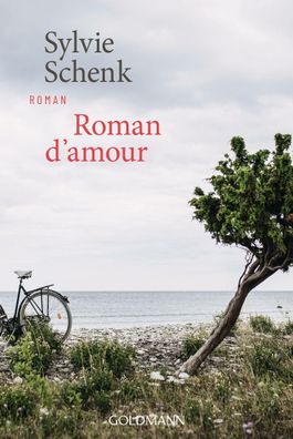 Roman d'amour, Sylvie Schenk