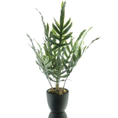 DPI Farn Grün im schwarzen 11er Topf 50 cm - Kunstpflanzen