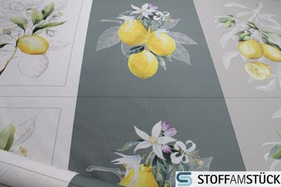 Stoff Geschirrtuch Panel Baumwolle Zitrone 3 x 70 cm x 53 cm Trockentuch