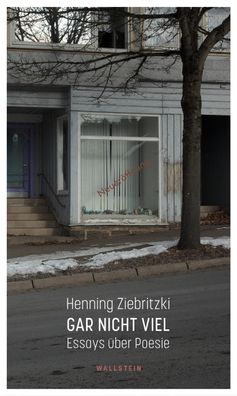 Gar nicht viel, Henning Ziebritzki