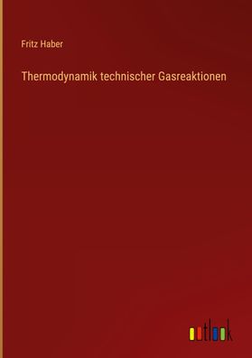 Thermodynamik technischer Gasreaktionen, Fritz Haber