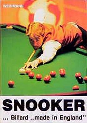Snooker. Billard 'made in England', Werner Grewatsch