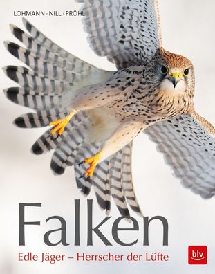 Falken, Michael Lohmann