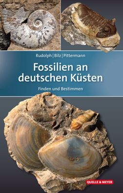Fossilien an deutschen K?sten, Frank Rudolph