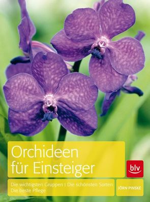 Orchideen f?r Einsteiger, J?rn Pinske