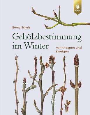 Geh?lzbestimmung im Winter, Bernd Schulz
