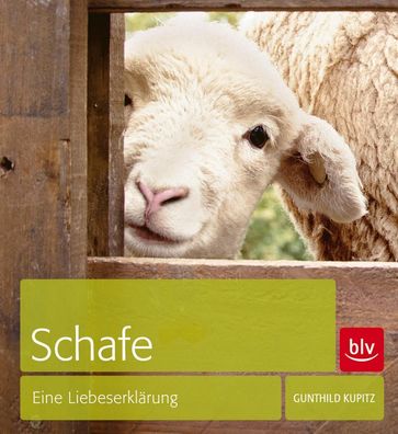 Schafe, Gunthild Kupitz