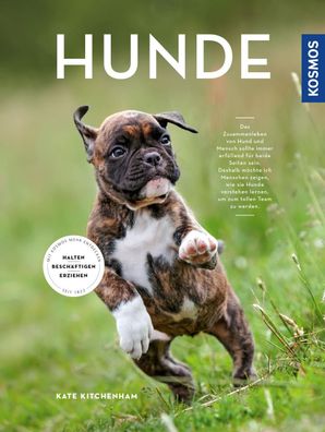 Hunde, Kate Kitchenham