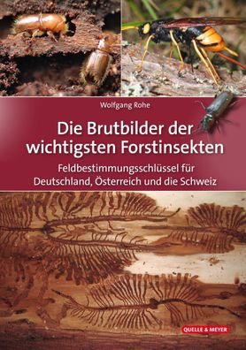 Die Brutbilder der wichtigsten Forstinsekten, Wolfgang Rohe