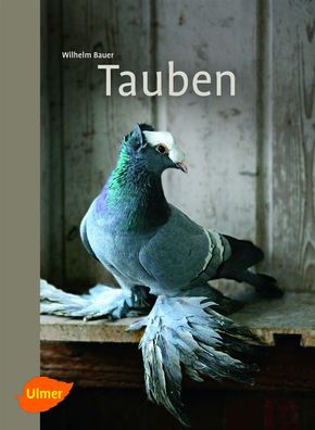 Tauben, Wilhelm Bauer