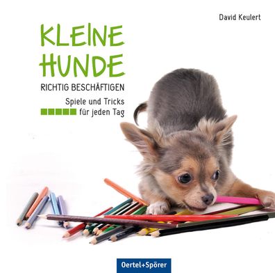 Kleine Hunde richtig besch?ftigen, David Keulert