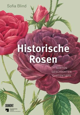 Historische Rosen, Sofia Blind