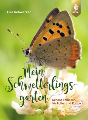 Mein Schmetterlingsgarten, Elke Schwarzer