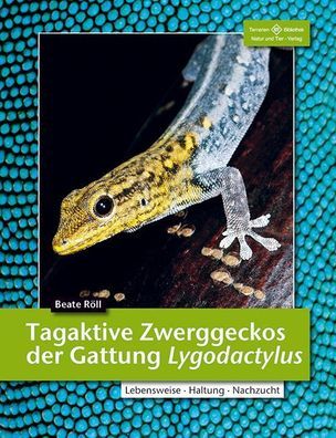 Tagaktive Zweggeckos der Gattung Lygodactylus, Beate R?ll