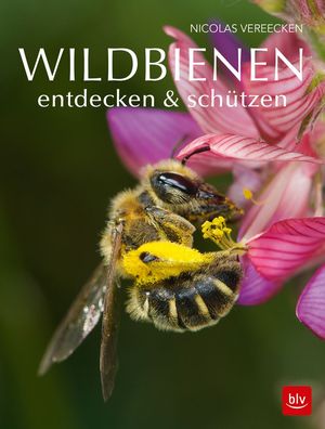 Wildbienen entdecken & sch?tzen, Nicolas Vereecken