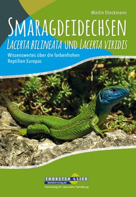 Smaragdeidechsen Lacerta bilineata und Lacerta viridis, Martin Dieckmann