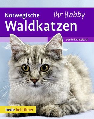 Norwegische Waldkatzen, Dominik Kieselbach