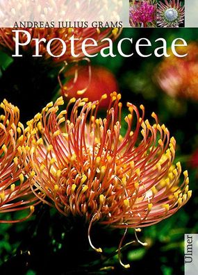 Proteaceae, Andreas Julius Grams