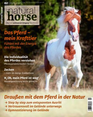 Natural Horse 34,