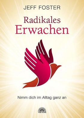 Radikales Erwachen, Jeff Foster