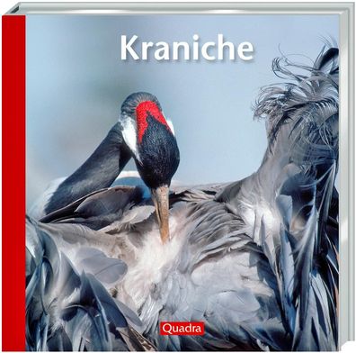 Kraniche, Hartmut Elsner