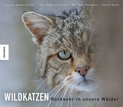 Wildkatzen, Rudi Suchant