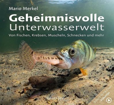 Geheimnisvolle Unterwasserwelt, Mario Merkel