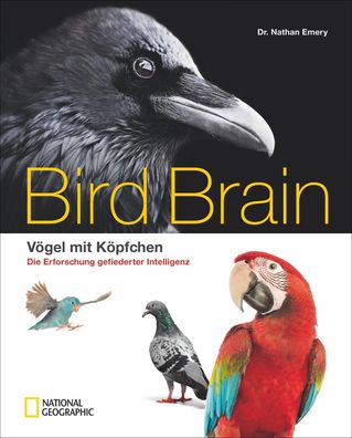 Bird Brain, Nathan Emery