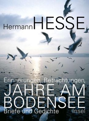 Jahre am Bodensee, Hermann Hesse