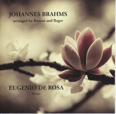Johannes Brahms (1833-1897): Transkriptionen für Klavier - - (CD / T)