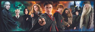 Harry Potter - Kampf gegen die Dunklen Mächte