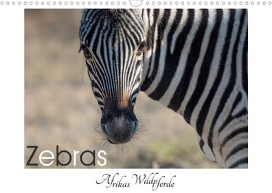 Zebras - Afrikas Wildpferde (Wandkalender 2023 DIN A3 quer), Irma van der W ...