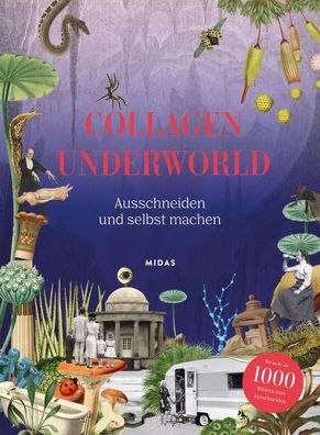 Collagen Underworld, Eliza Scott