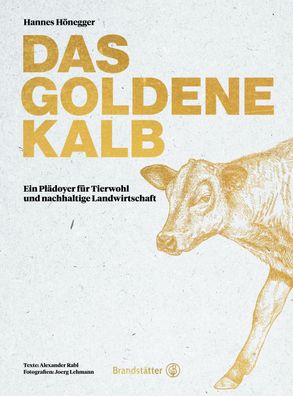 Das goldene Kalb, Hannes H?negger