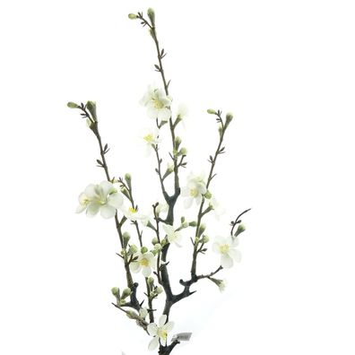 GASPER Oster-Deko Quittenzweig Weiß 75 cm - Kunstblumen