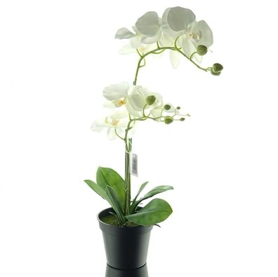 GASPER Schmetterlingsorchidee - Phalaenopsis Weiß im Topf 55 cm - Kunstblumen